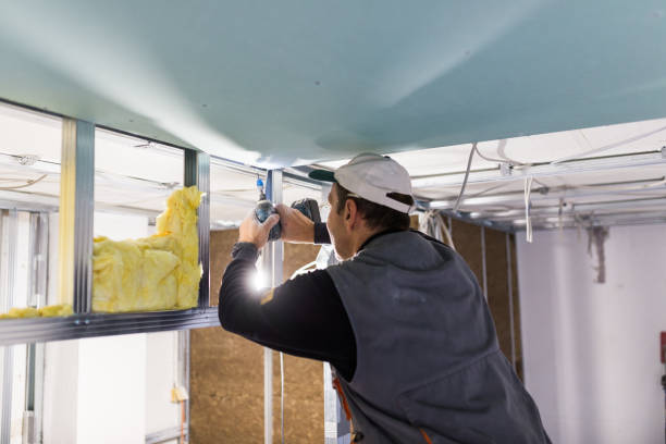 Best Insulation Maintenance and Repair in Lebanon, KY